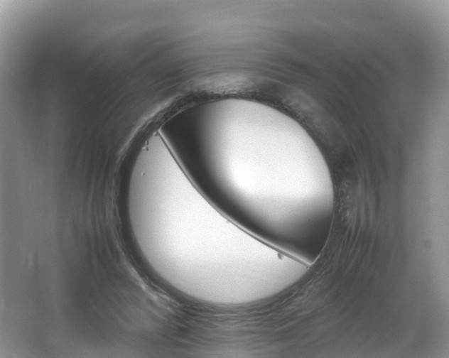 X0000066940400200603240940