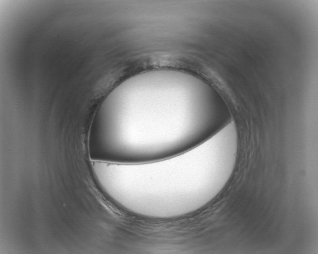 X0000066940401200603240940