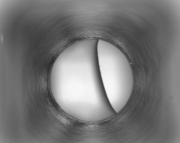 X0000066940402200603240940