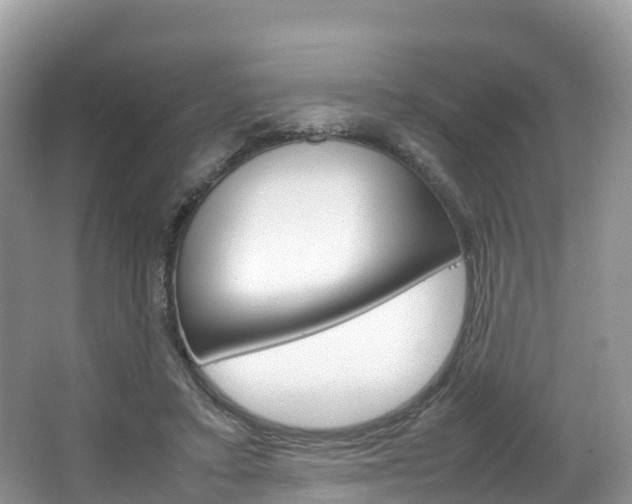 X0000066940403200603240940