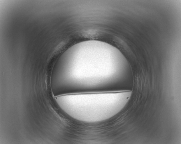 X0000066940404200603240940