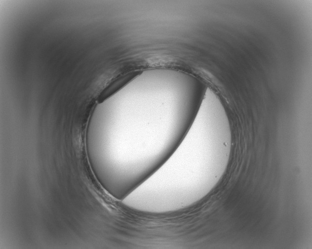 X0000066940405200603240940