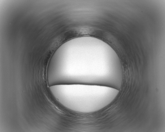 X0000066940406200603240940