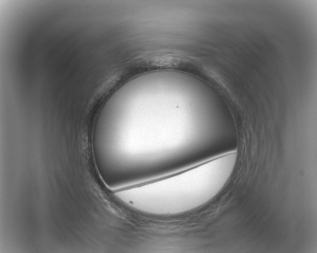 X0000066940407200603240940