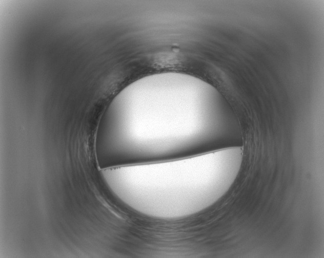 X0000066940408200603240940