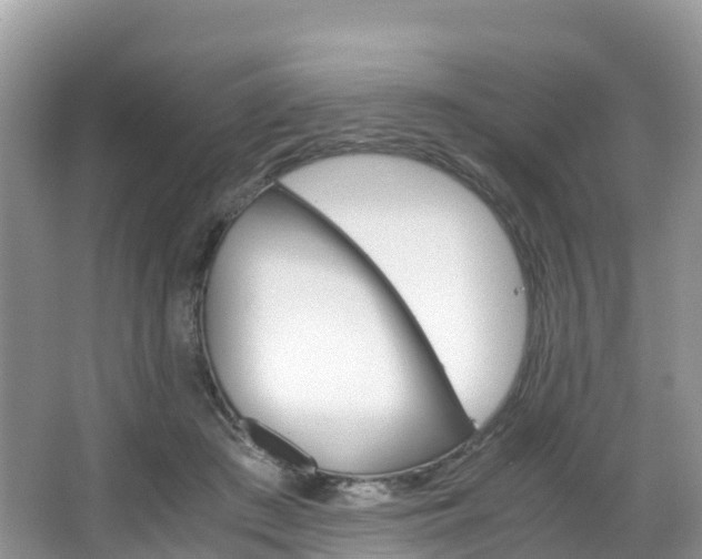 X0000066940409200603240940