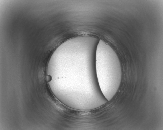 X0000066940410200603240940