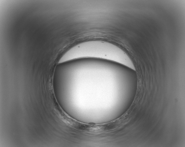 X0000066940411200603240940