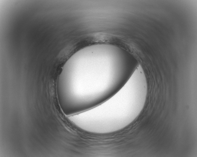 X0000066940413200603240940