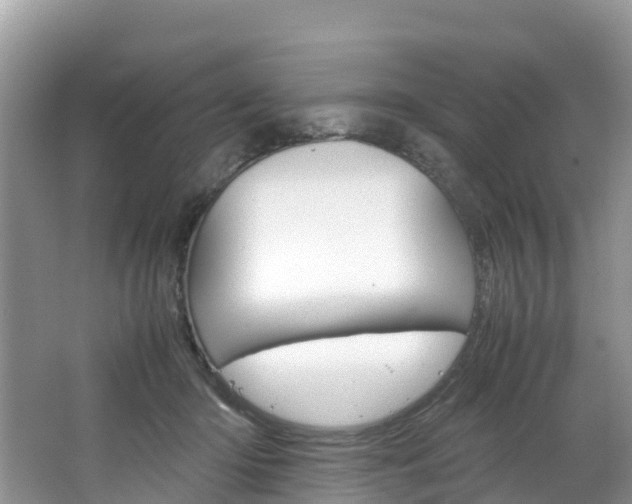 X0000066940414200603240940