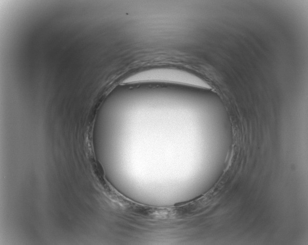 X0000066940415200603240939