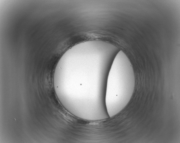 X0000066940418200603240939