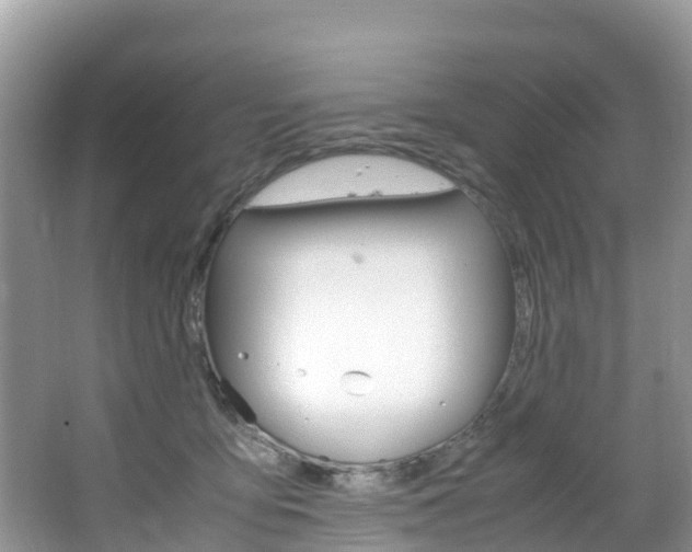 X0000066940419200603240939