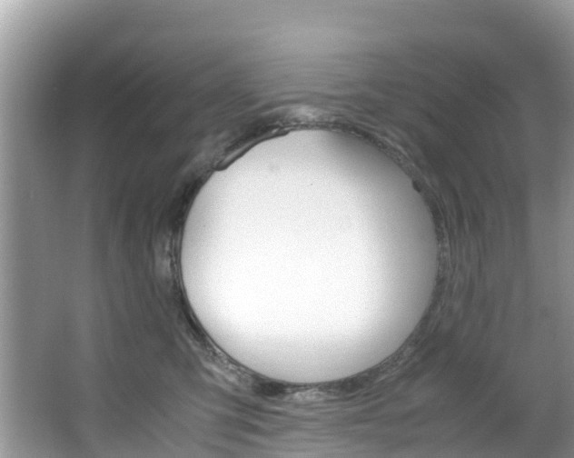 X0000066940423200603240939