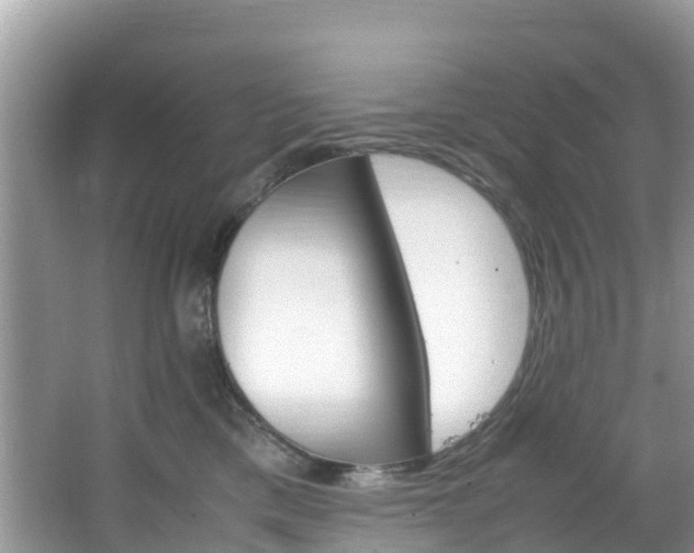 X0000066940425200603240939