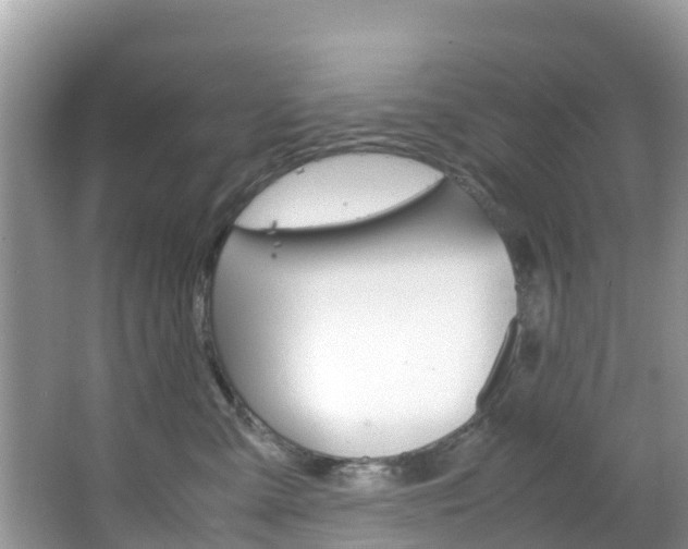 X0000066940427200603240939