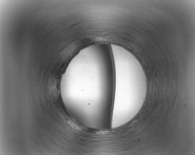 X0000066940428200603240939