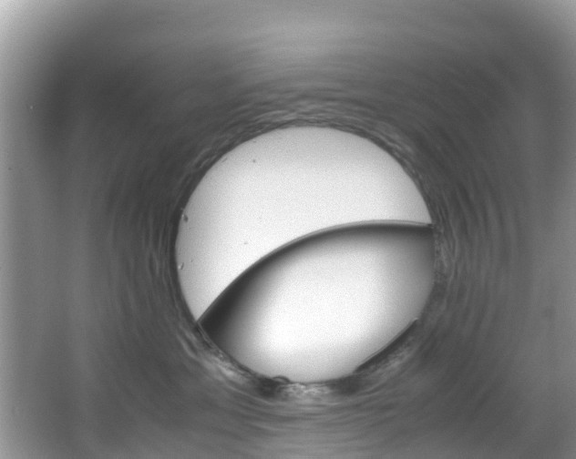 X0000066940429200603240939