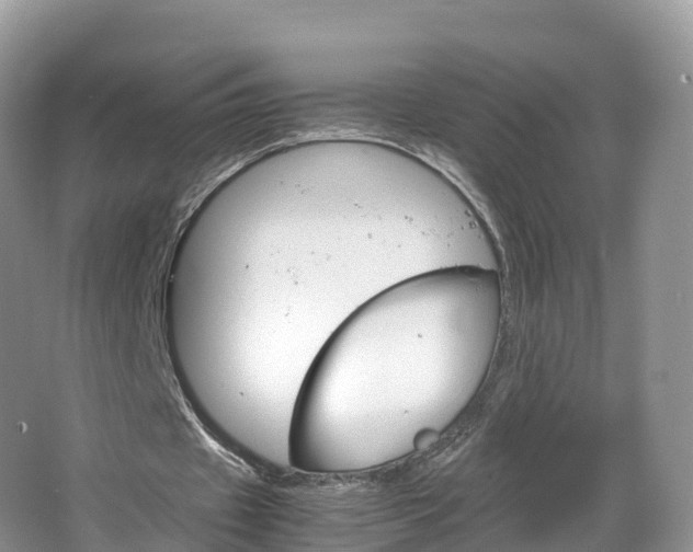 X0000066940433200603240938