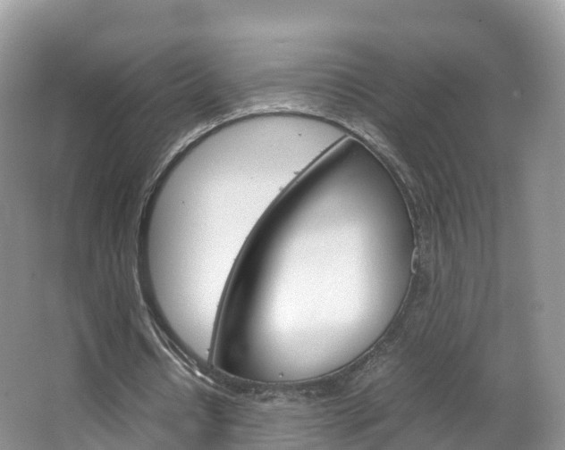 X0000066940434200603240938