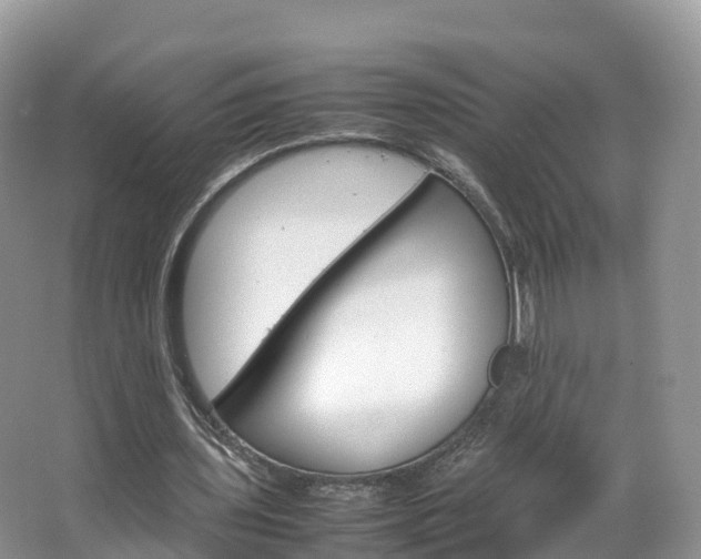 X0000066940435200603240938