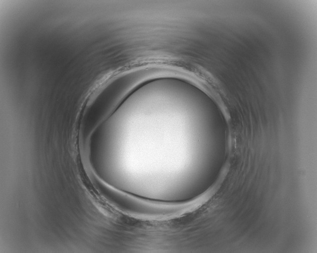 X0000066940436200603240938