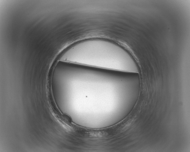 X0000066940439200603240939