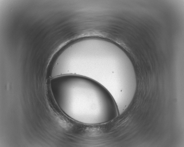 X0000066940440200603240939