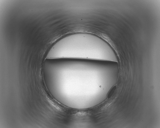 X0000066940441200603240939