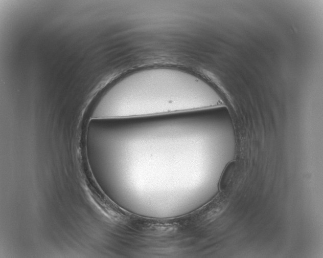 X0000066940443200603240939