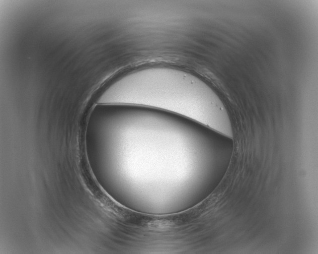 X0000066940444200603240939