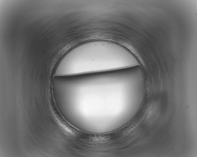 X0000066940445200603240939