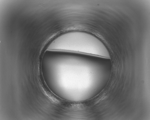 X0000066940446200603240939