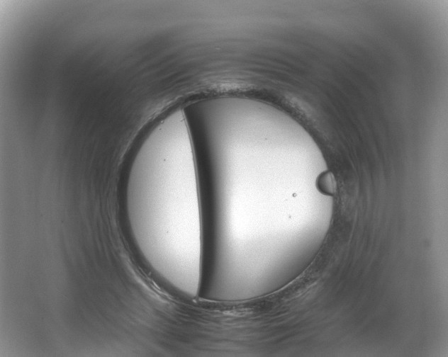 X0000066940447200603240939