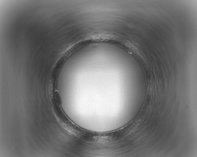 X0000066940448200603240939