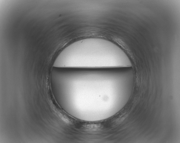 X0000066940449200603240939