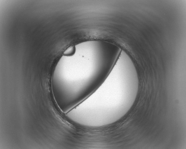 X0000066940450200603240939