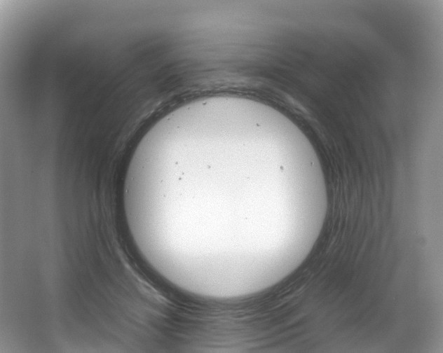 X0000066940452200603240939