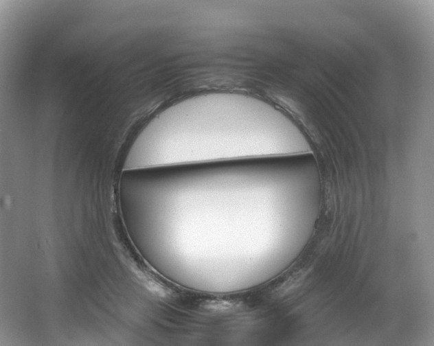 X0000066940453200603240939