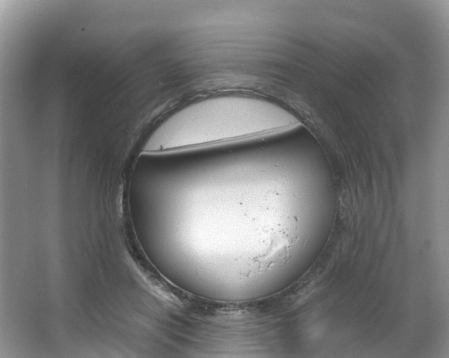 X0000066940454200603240939