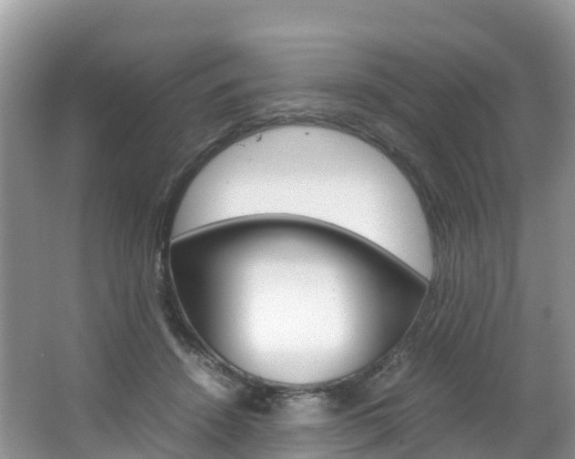 X0000066940456200603240939