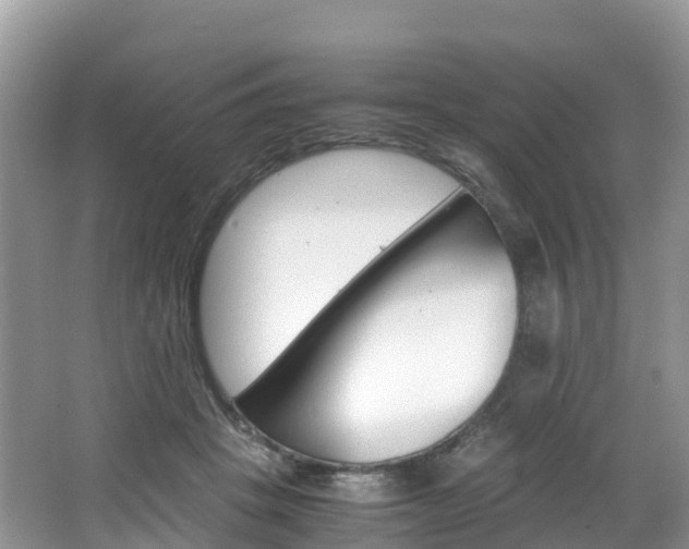 X0000066940457200603240939