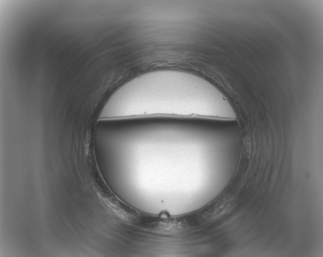 X0000066940458200603240939