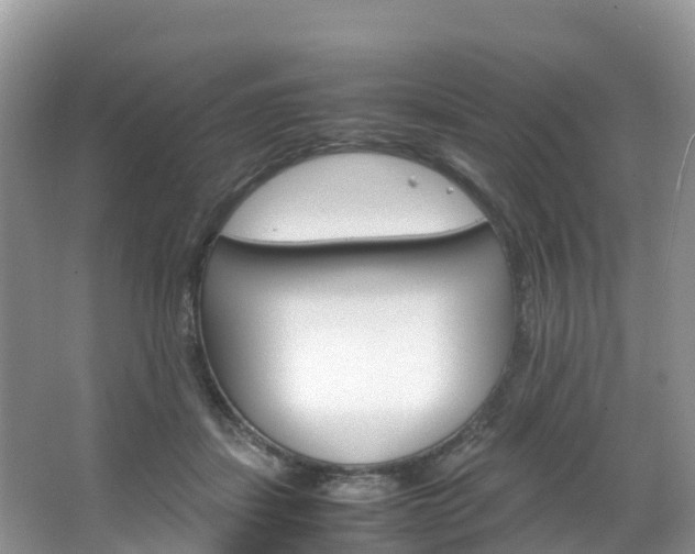 X0000066940459200603240939