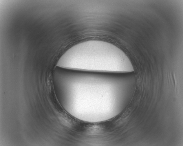 X0000066940460200603240939