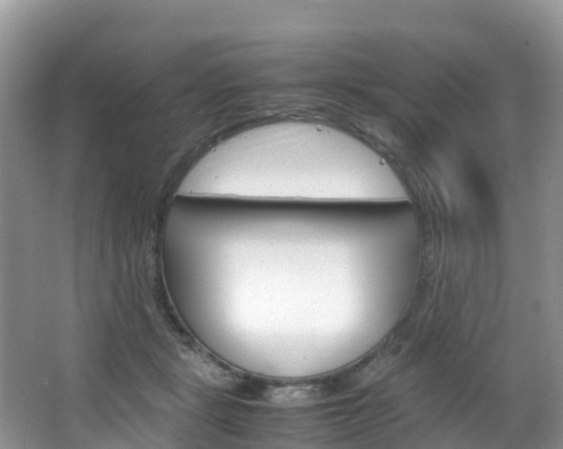 X0000066940461200603240939