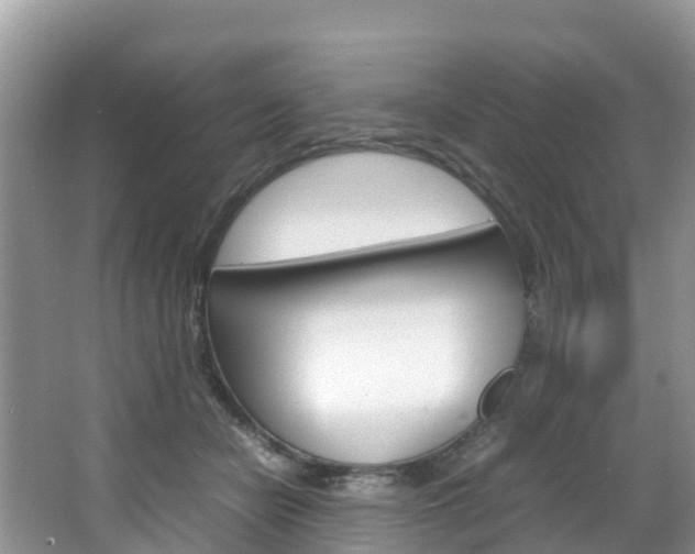 X0000066940462200603240939