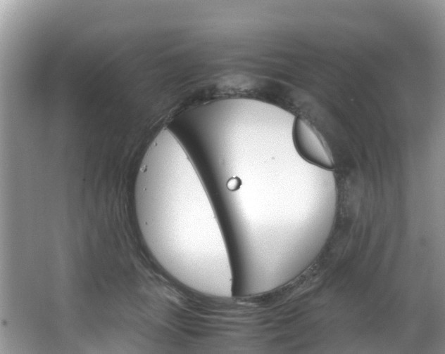 X0000066940463200603240939