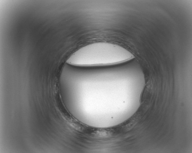 X0000066940464200603240939