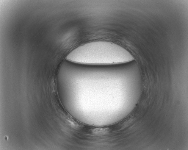 X0000066940465200603240939